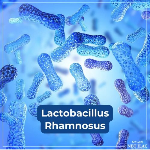 Lactobacillus-Rhamnosus