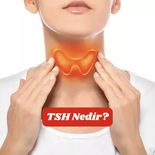 TSH-Nedir TSH-Nedir