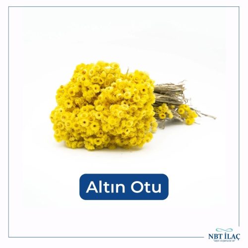 altin-otu