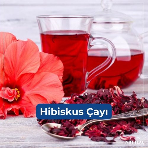 hibiskus-cayi