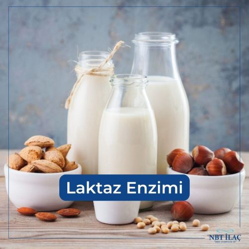 laktaz-enzimi