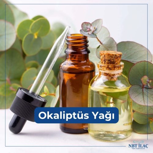 okaliptus-yagi-faydalari