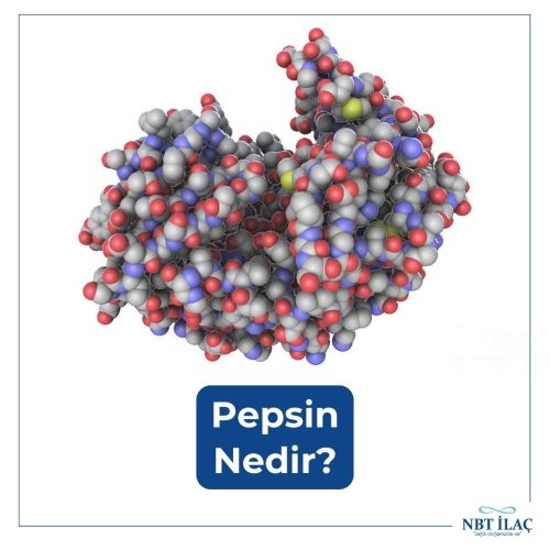 pepsin-nedir